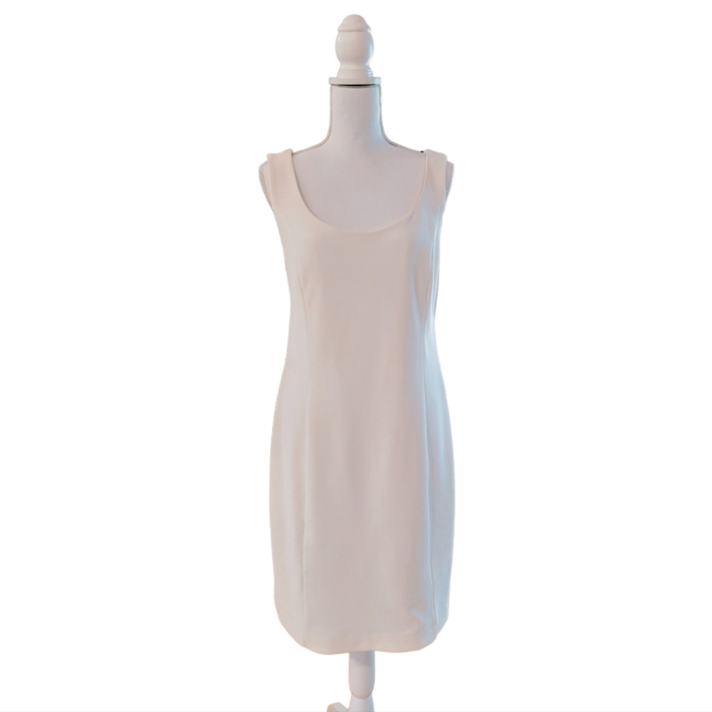 Anne Brooks Dress